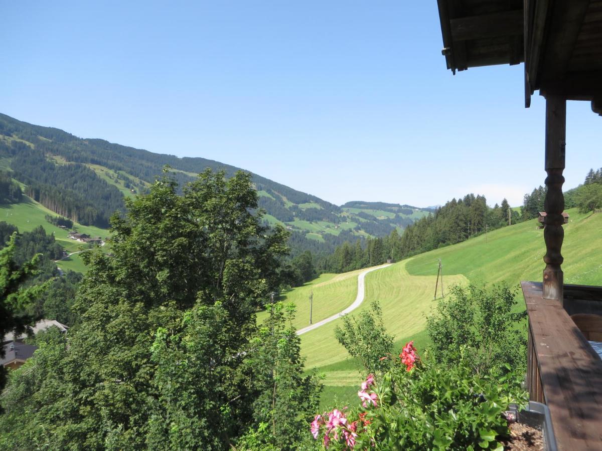 Haus Moosbrunn Διαμέρισμα Alpbach Εξωτερικό φωτογραφία